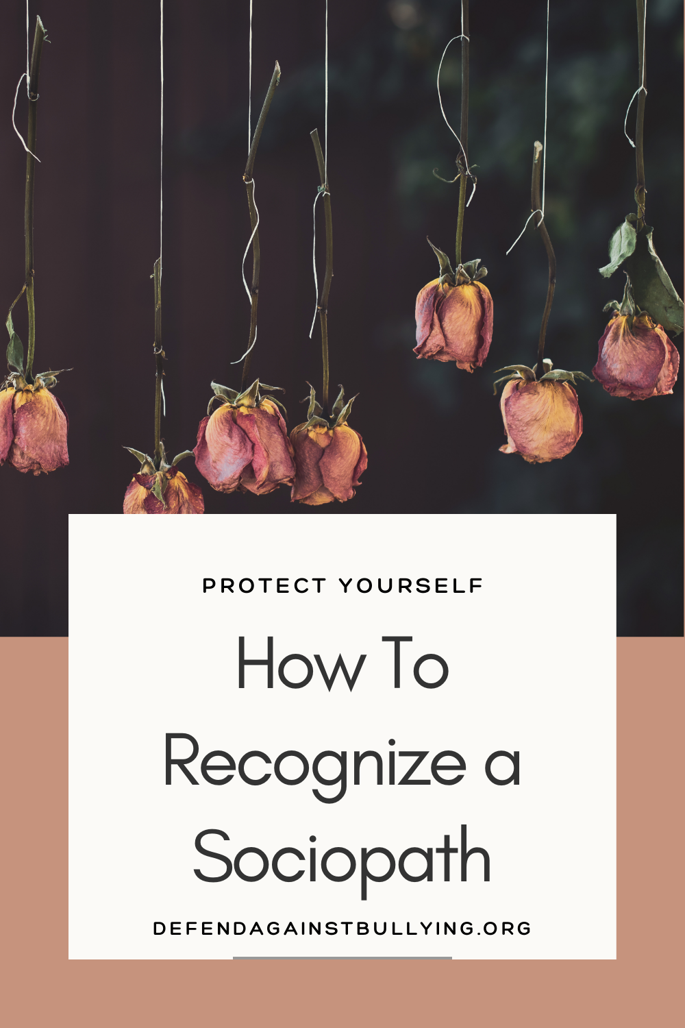 How to Recognize a Sociopath